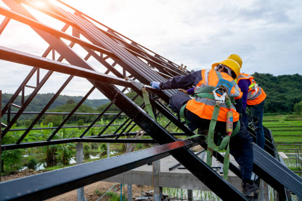 Best Roof Gutter Cleaning  in Richwood, NJ