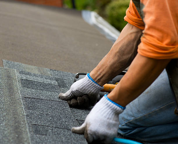 Best Storm Damage Roof Repair  in Richwood, NJ