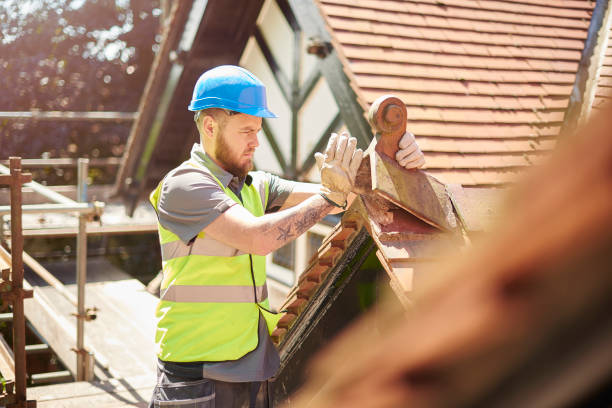 Best Roof Gutter Cleaning  in Richwood, NJ